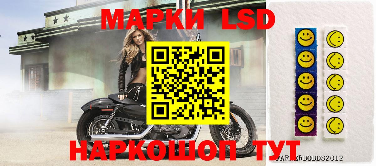 Курчалой  ЛСД экстази кислота  Вход с VPN 