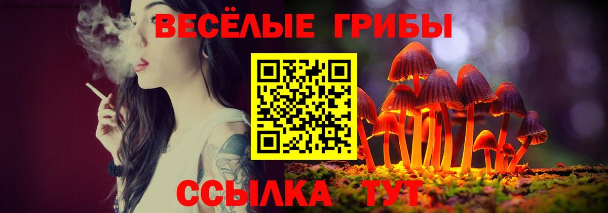 Курчалой  Псилоцибиновые грибы мухоморы  Вход с VPN 